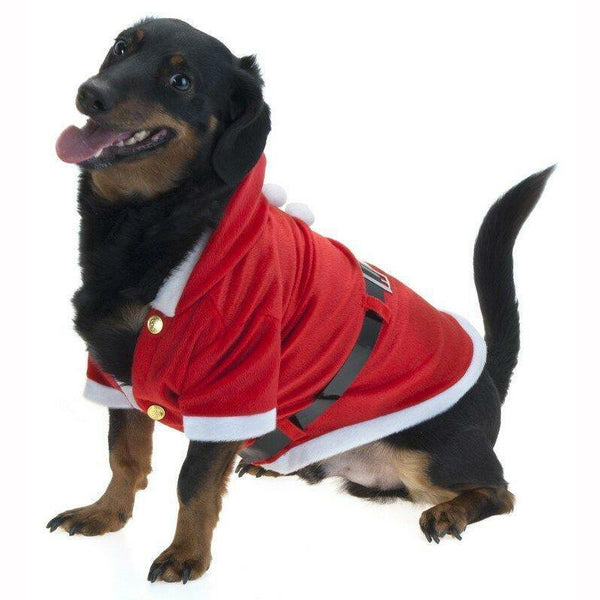 MANTEAU PERE NOEL POUR CHIEN,Farfouil en fÃªte,A definir