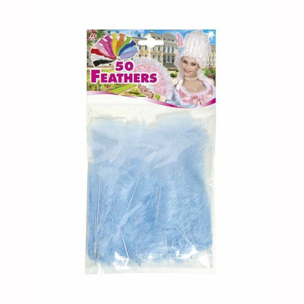 SACHET 50 PLUMES PIET PLAT 10CM,Farfouil en fÃªte,A definir